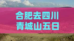 合肥去四川青城山五日游