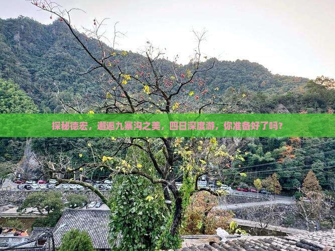 德宏到四川九寨沟四日游