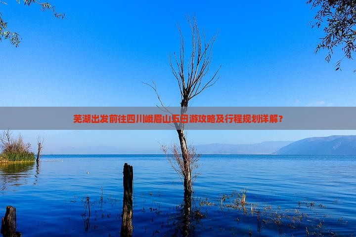 芜湖去四川峨眉山五日游