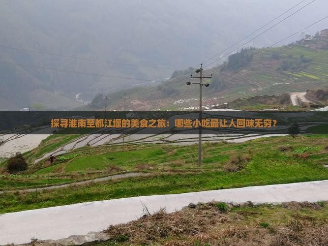 淮南去四川都江堰旅游小吃