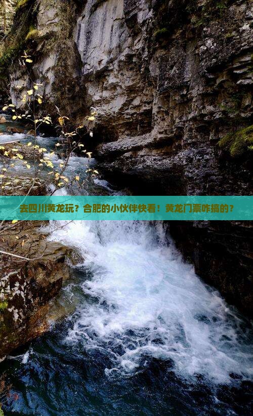 合肥去四川黄龙门票