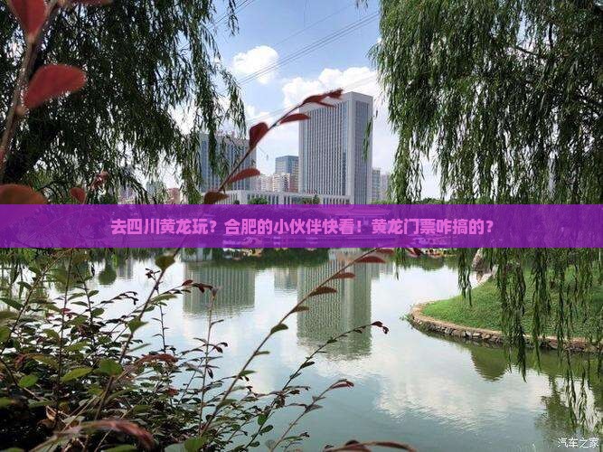 合肥去四川黄龙门票