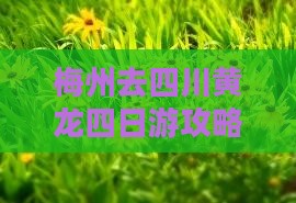 梅州去四川黄龙四日游