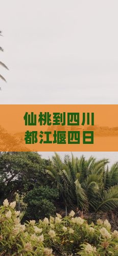 仙桃到四川都江堰四日游