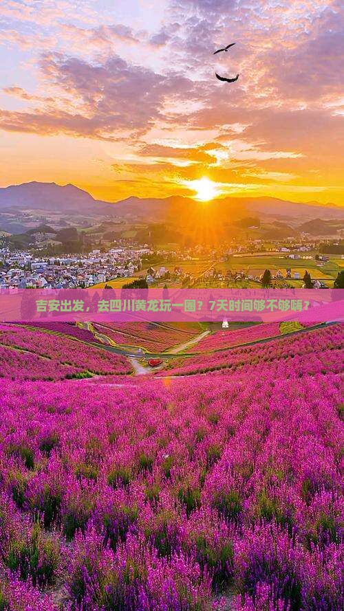 吉安去四川黄龙七日游