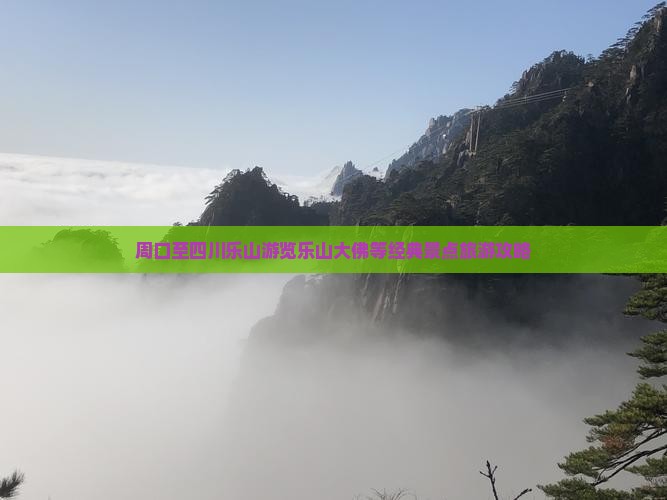 周口到四川乐山大佛旅游