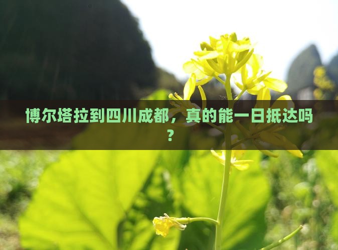 博尔塔拉到四川成都一日