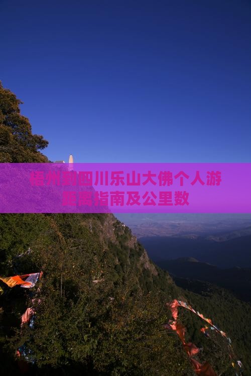 梧州到四川乐山大佛个人游