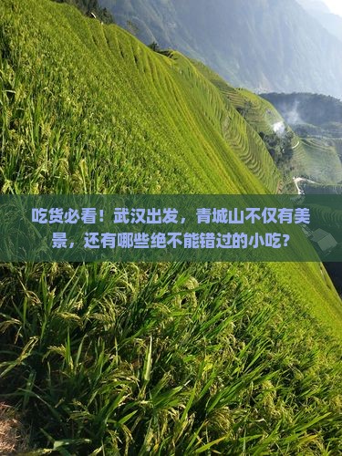 武汉去四川青城山旅游小吃
