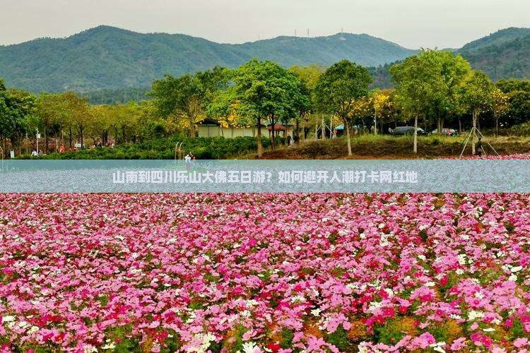 山南到四川乐山大佛五日游