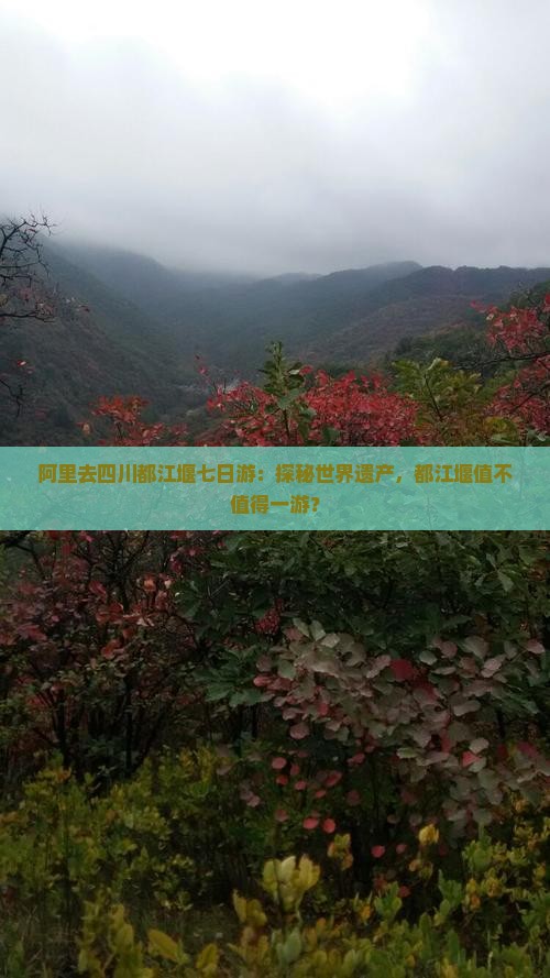 阿里去四川都江堰七日游