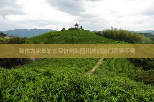 忻州到四川成都门票