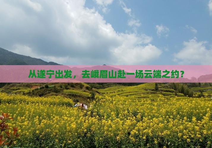 遂宁去四川峨眉山旅游