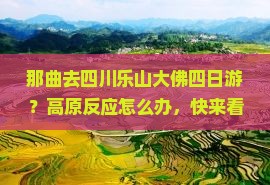 那曲去四川乐山大佛四日游