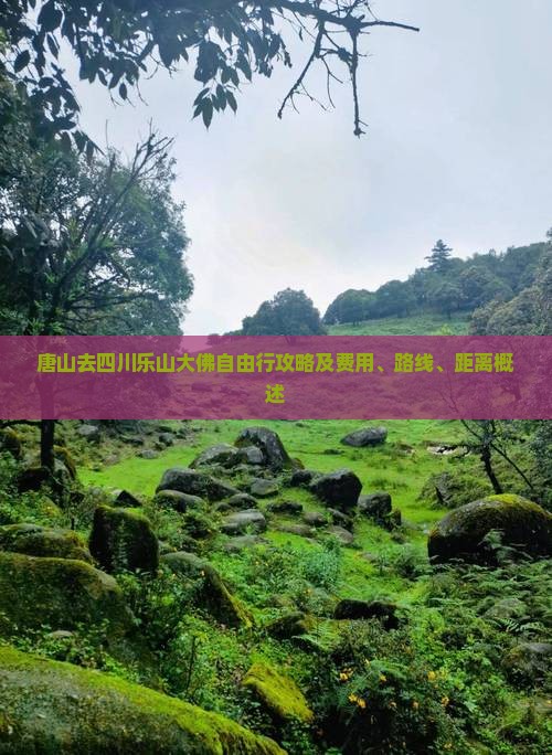 唐山去四川乐山大佛自由行