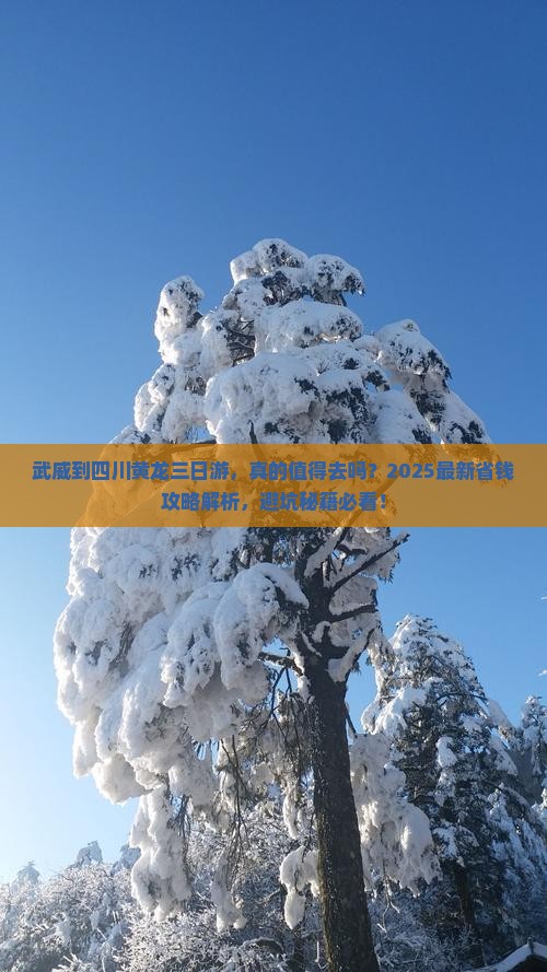 武威到四川黄龙三日游