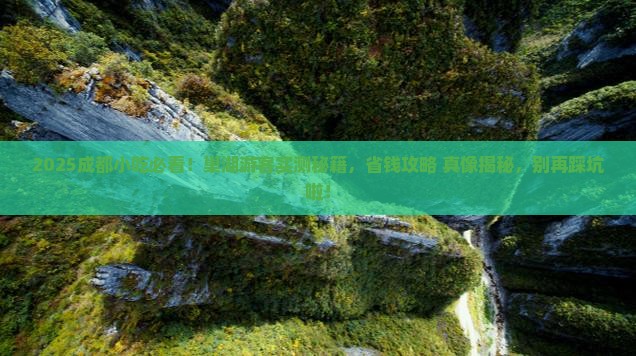 巢湖去四川成都旅游小吃