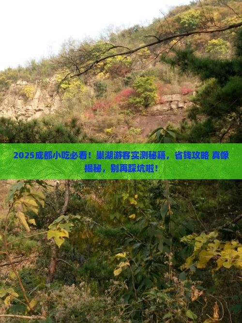 巢湖去四川成都旅游小吃