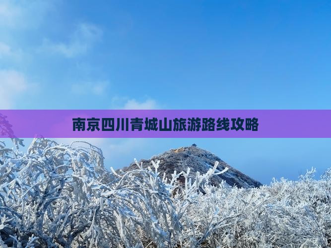 南京去四川青城山一日