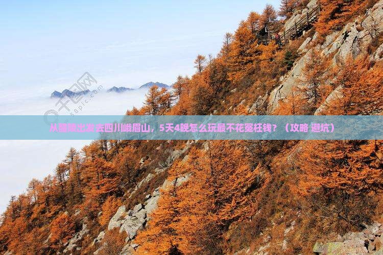 醴陵到四川峨眉山旅行社 醴陵到四川峨眉山旅行社