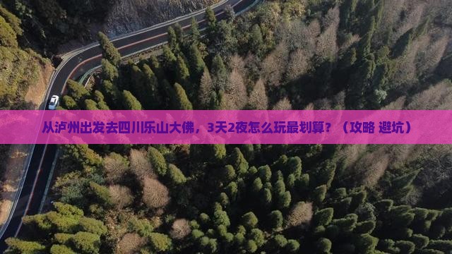 泸州去四川乐山大佛哪里玩