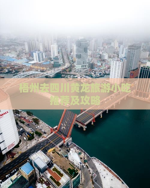 梧州去四川黄龙旅游小吃