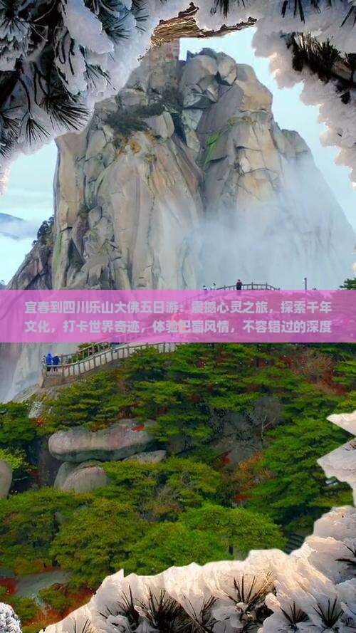 宜春到四川乐山大佛五日游