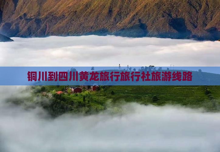 铜川到四川黄龙旅行社