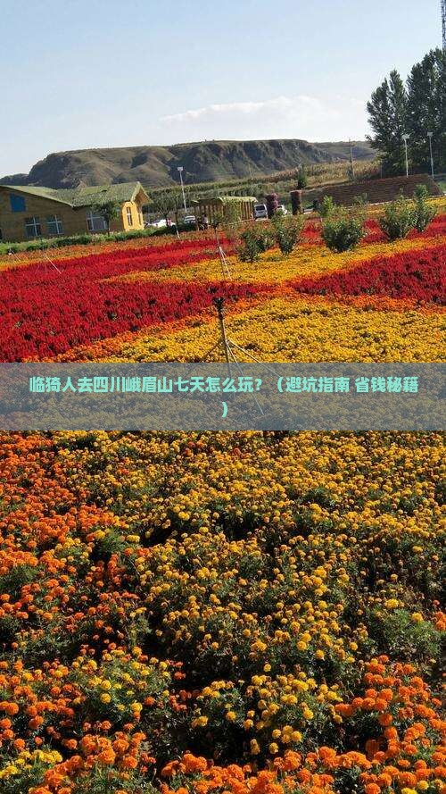 临猗去四川峨眉山七日游