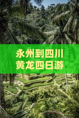 永州到四川黄龙四日游