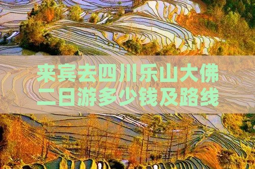 来宾去四川乐山大佛二日游 来宾去四川乐山大佛二日游