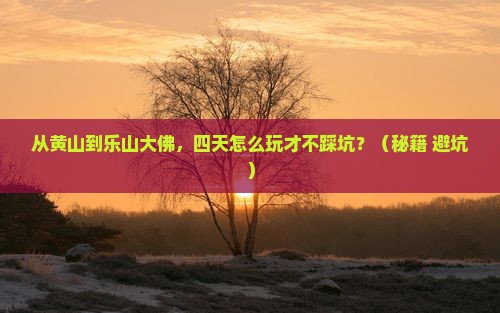 黄山去四川乐山大佛四日游