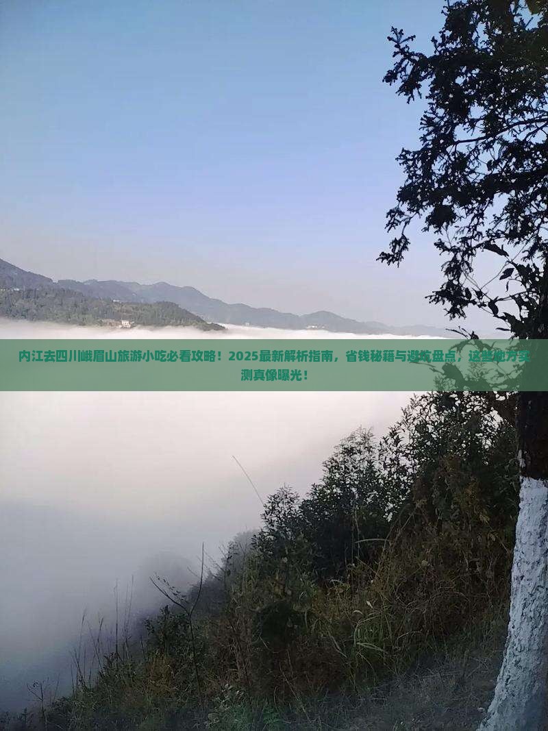 内江去四川峨眉山旅游小吃 内江去四川峨眉山旅游小吃