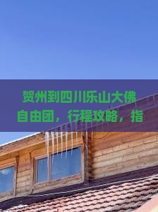 贺州到四川乐山大佛自由团
