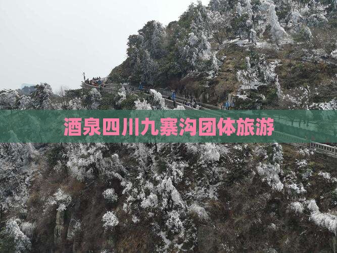 酒泉去四川九寨沟团体旅游