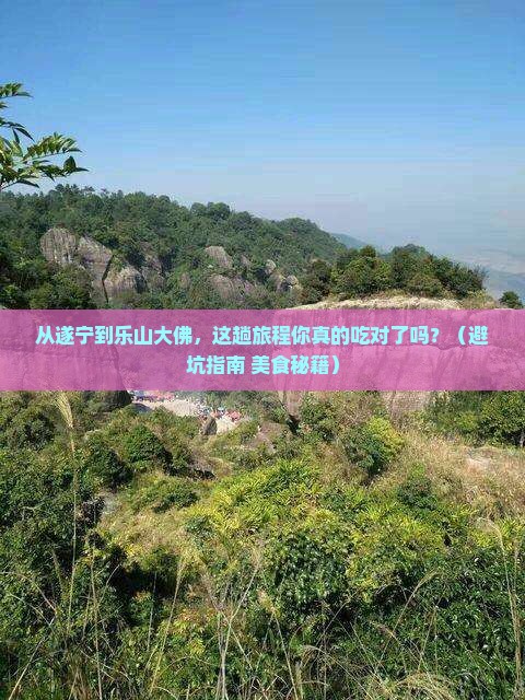 遂宁到四川乐山大佛旅游小吃