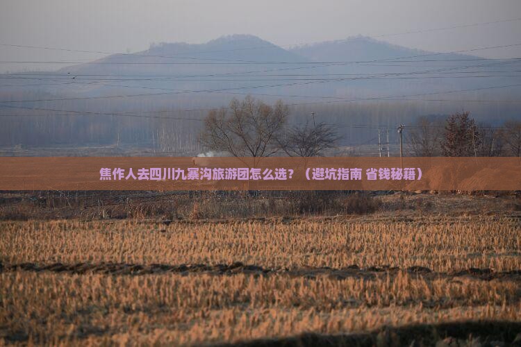 焦作去四川九寨沟大型旅游团