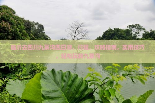 临沂去四川九寨沟四日游