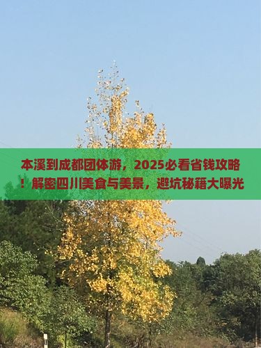 本溪到四川成都团体旅游