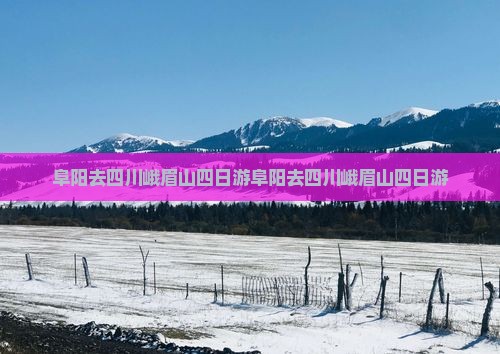 阜阳去四川峨眉山四日游