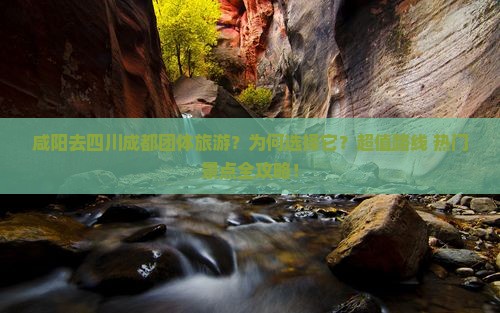 咸阳去四川成都团体旅游