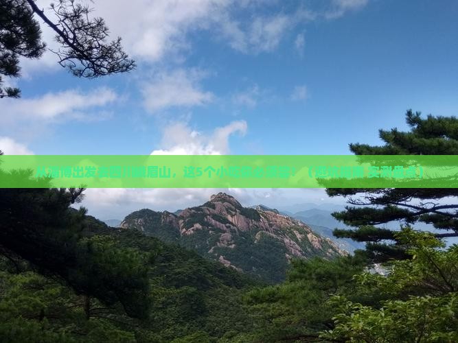 淄博去四川峨眉山旅游小吃
