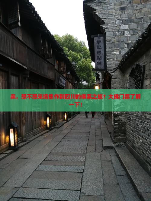 焦作到四川乐山大佛门票