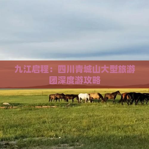 九江到四川青城山大型旅游团
