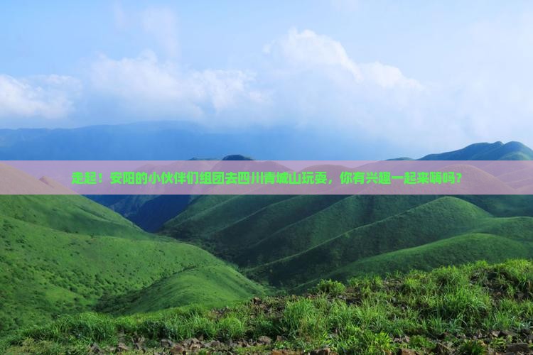 安阳去四川青城山团体旅游