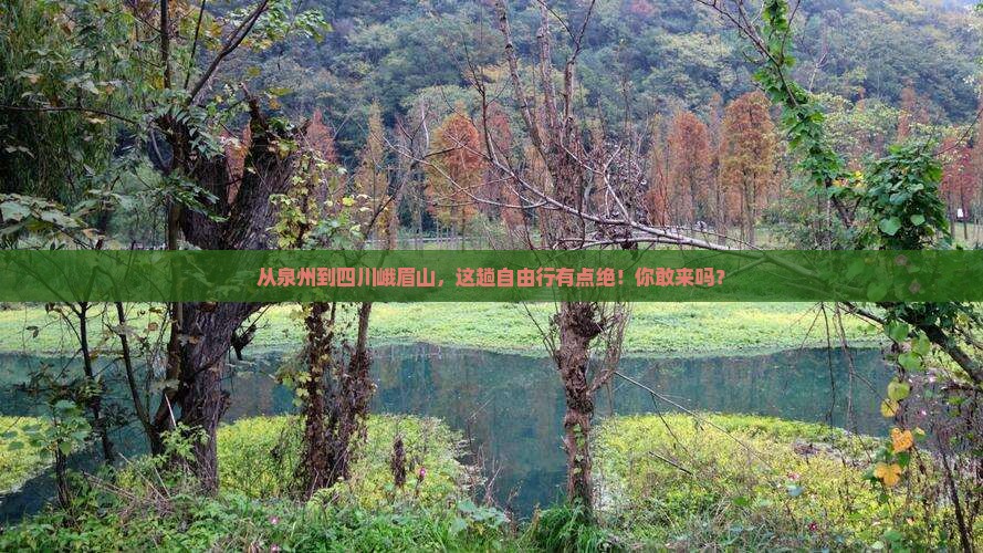泉州去四川峨眉山自由行