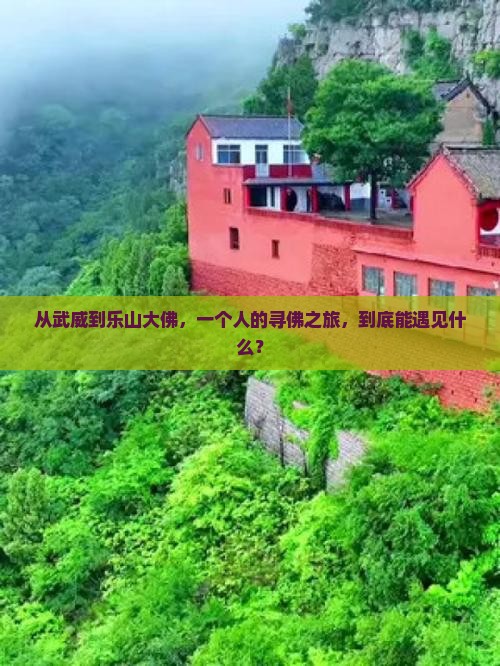 武威去四川乐山大佛个人游