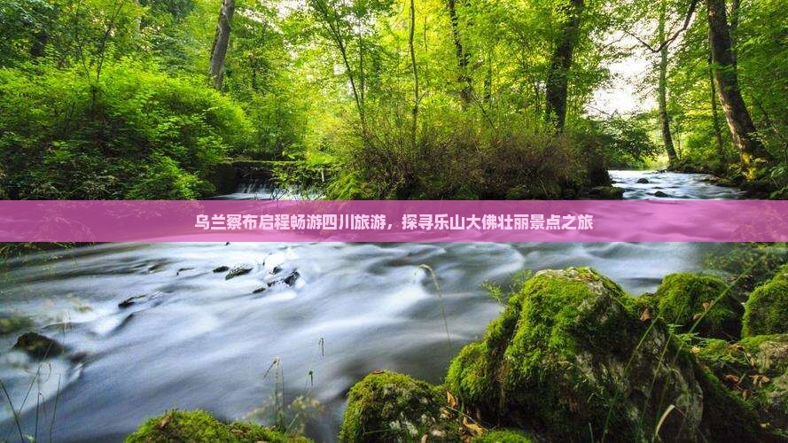 乌兰察布去四川乐山大佛景点