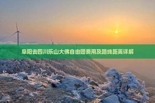 阜阳去四川乐山大佛自由团