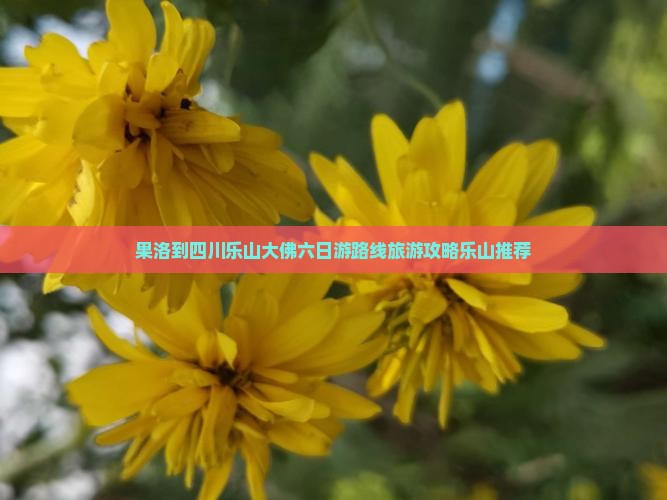 果洛到四川乐山大佛六日游